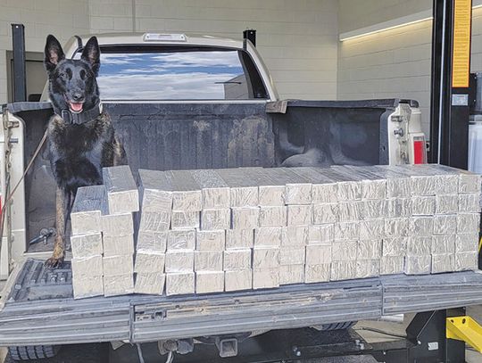 A whiff and a sniff puts man behind bars: Defendant in drug bust takes 50-year plea deal