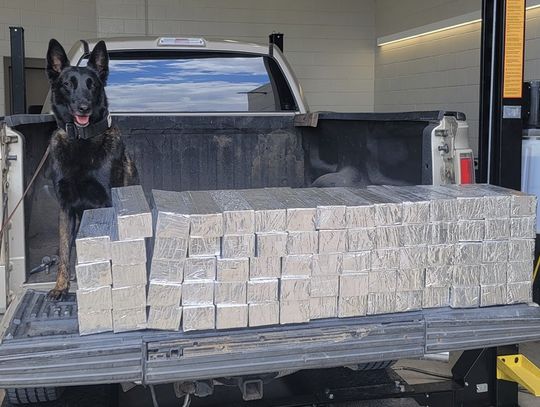 A whiff and a sniff puts man behind bars: Defendant in drug bust takes 50-year plea deal