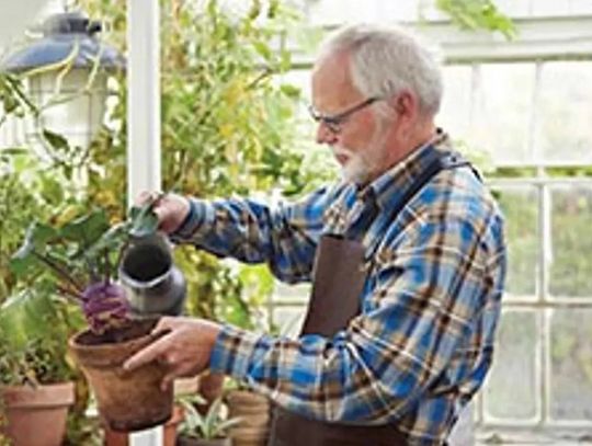 Activities that promote cognitive health Activities that promote cognitive health