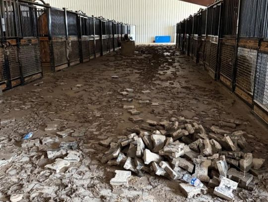 All-out response saved 120 horses at equestrian facility