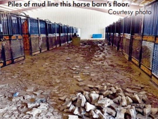All-out response saved 120 horses at equestrian facility