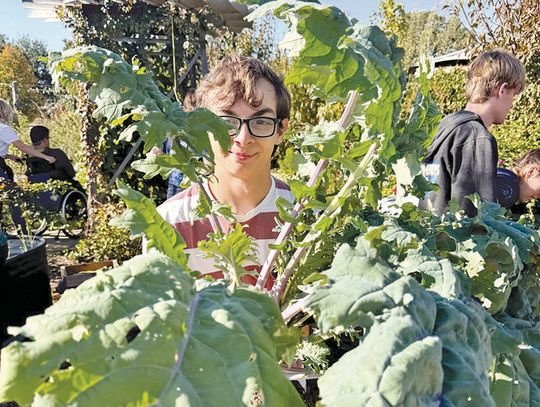 All people, All abilities