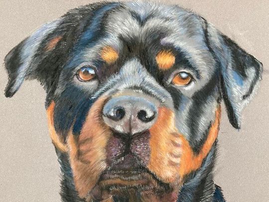 Arts: Band concerts, dog drawings, steinholding