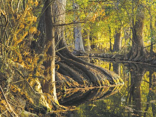 Bask in Hill Country’s ‘wild water’ Bask in Hill Country’s ‘wild water’