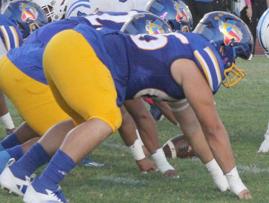Bobcats hope to prove doubters wrong in 2025