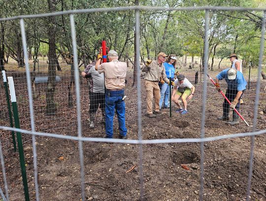 Boerne again earns ‘Tree City USA’
