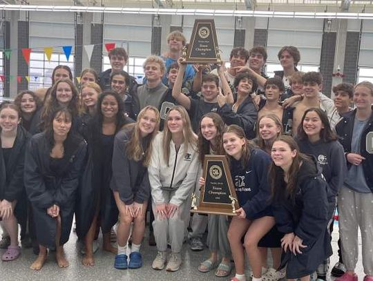 Boerne Champion swimmers, divers dominate at district