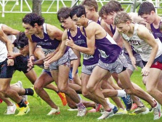 Boerne girls, boys compete at 4A state cross country meet