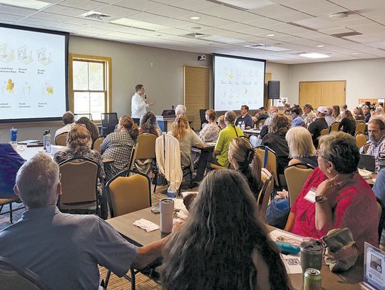 Boerne rep addresses Dark Sky conference