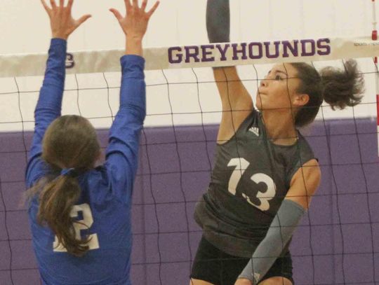Boerne sweeps Mules at Greyhound Gym