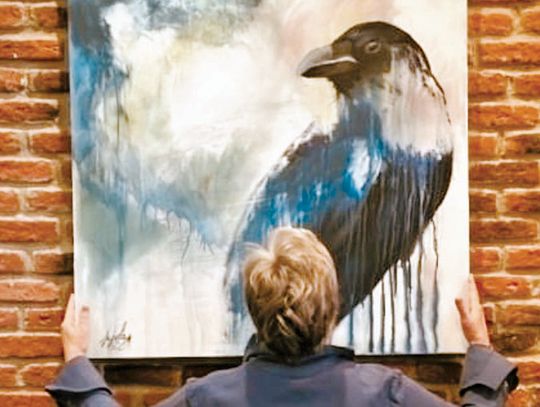 Boerne Visual Artists group organizes