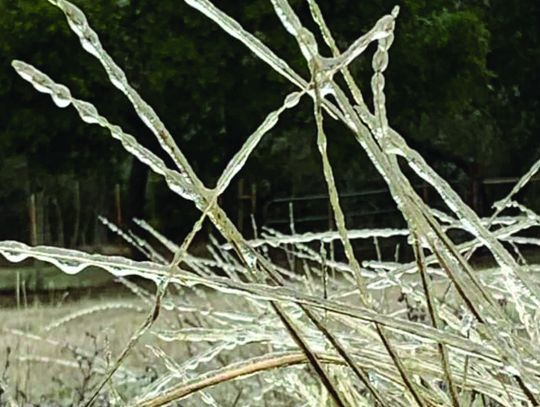 Boerne weathers first Arctic storm of new year