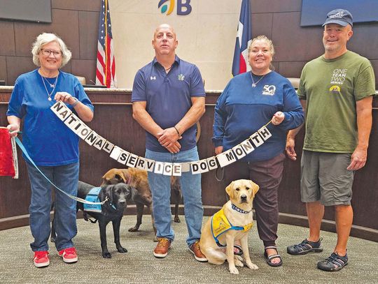 Canine Companions