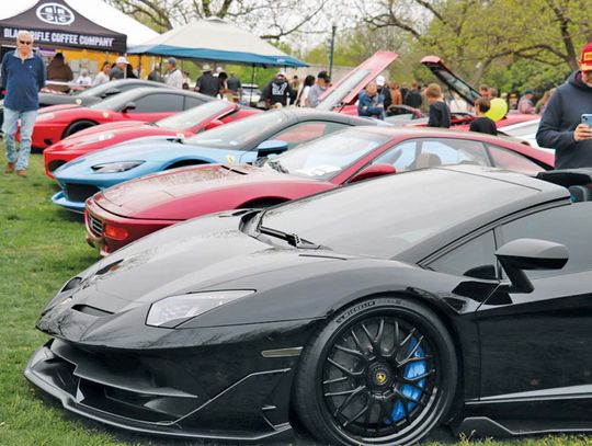 CAR OWNERS REV ENGINES AT MOTOR GATHERING