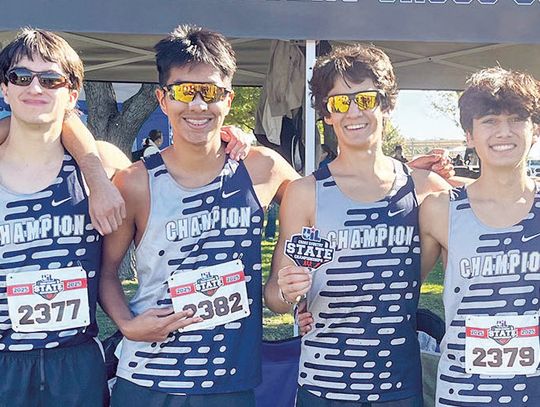 Champion boys, girls teams place top 10 at state cross country meet Champion boys, girls teams place top 10 at state cross country meet
