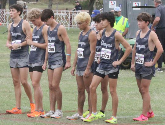 Champion boys place in top five at state meet as Houck finishes fourth