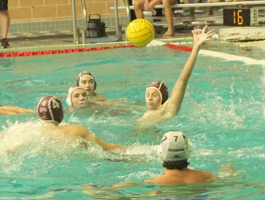 Champion boys water polo to play for state championship