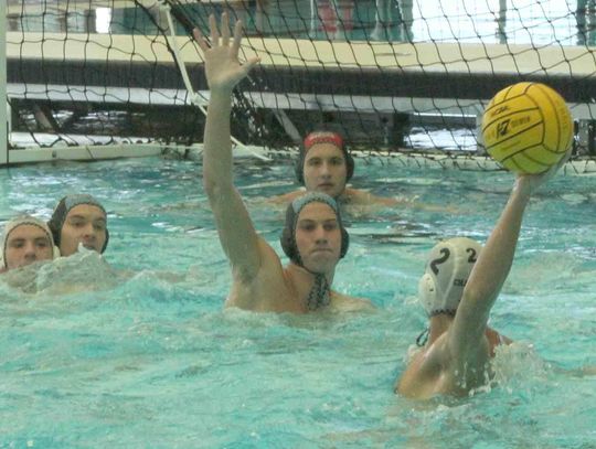 Champion boys win fifth straight regional title in water polo