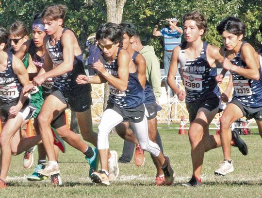 Champion running teams place top 10 in state