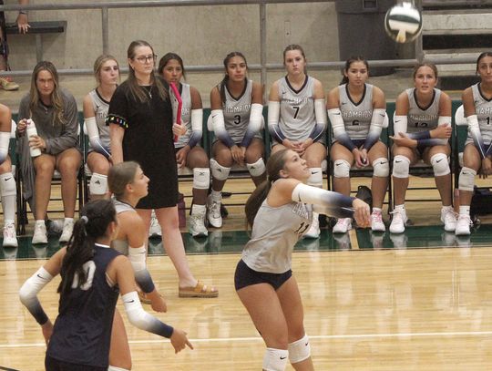 Champion slays Lady Dragons in 2025 opener