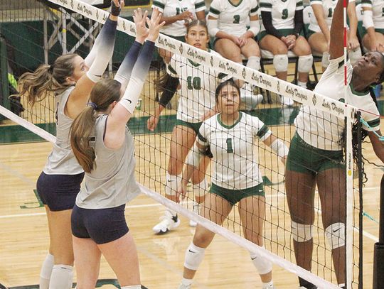 Chargers have a ball at Bev Ball volleyball tourney