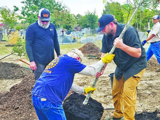 City plants dozen trees on Arbor Day