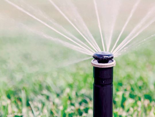 City rolls out water conservation rebate programs