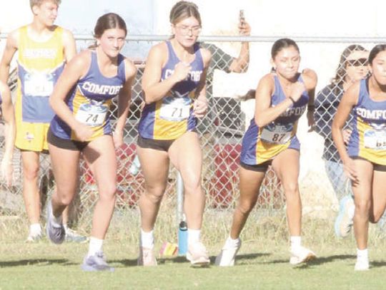 Comfort boys, girls cross country teams both headed to regionals