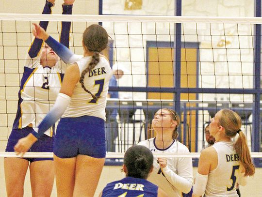 Comfort Deer still perfect in district after sweeping Llano
