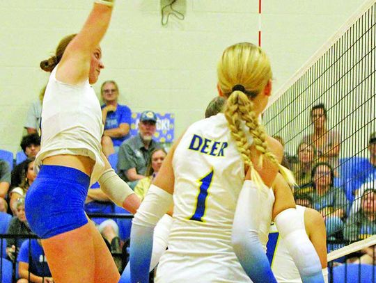 Comfort Deer win last two, stay in hunt for district title