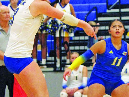 Comfort has seven volleyball players named all-district, Ahrens selected as 5-3A Co-MVP Comfort has seven volleyball players named all-district, Ahrens selected as 5-3A Co-MVP