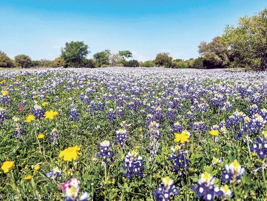 Conservancy secures funds to preserve Hill Country land