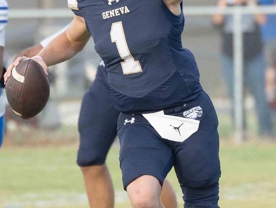 Eagles flex their offensive muscles in win over Wildcats