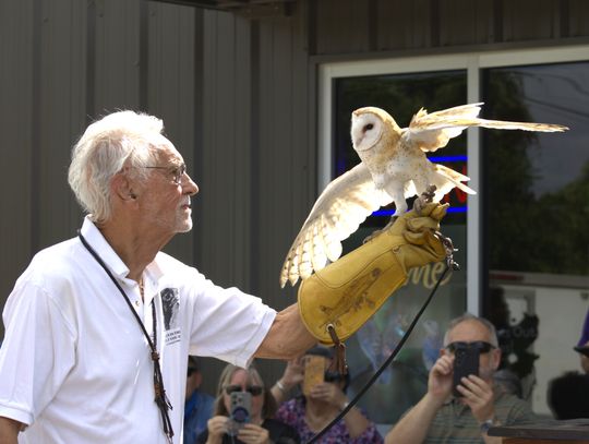 Eagles, owls, falcons bring crowd to store’s celebration
