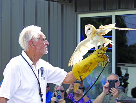 Eagles, owls, falcons bring crowd to store’s celebration