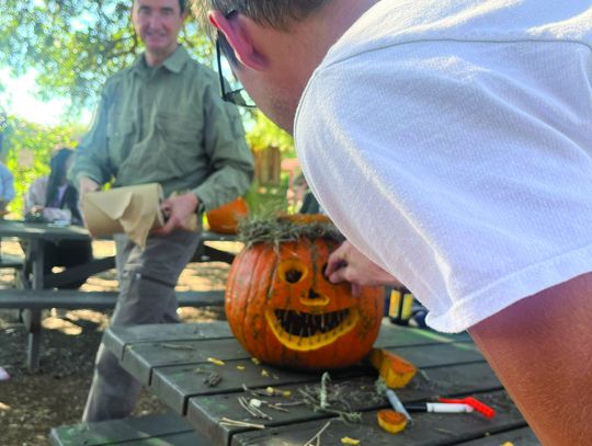 Enjoy pumpkins, but do so responsibly