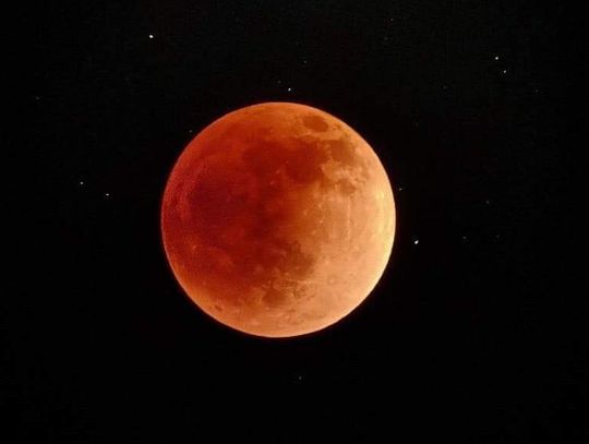 Eyes to the skies: An early morning rarity