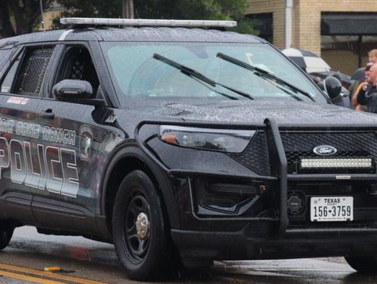 Fair Oaks police collar suspected auto thieves