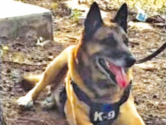 Fair Oaks Ranch retires K9 Buddy after seven years