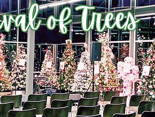 ‘Festival Of Trees’ lights up the holiday