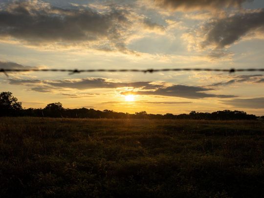 Finding resilience in nature