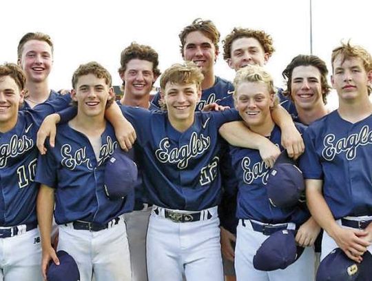 Geneva baseball tripped up in state semifinals