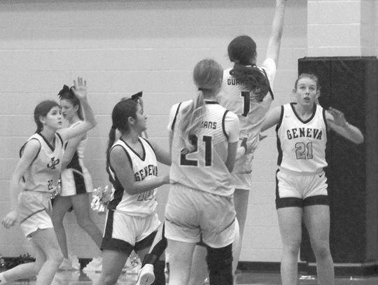 Geneva Lady Eagles defeat Guardians in district opener Geneva Lady Eagles defeat Guardians in district opener