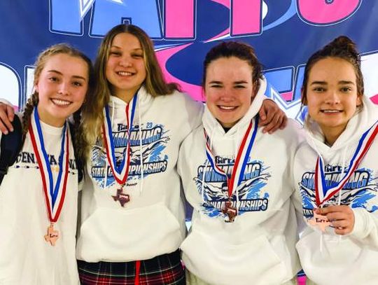 Geneva swimmers compete at state