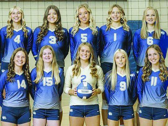 Geneva volleyball earns silver medals at state