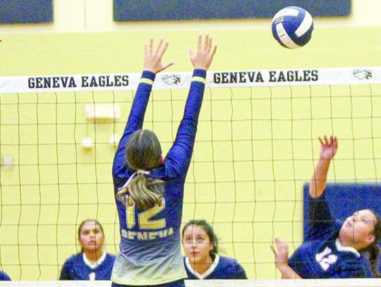 Geneva volleyball handles Holy Cross in district contest