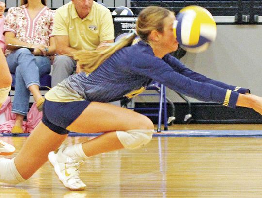 Geneva volleyball wins, faced Holy Cross Tuesday