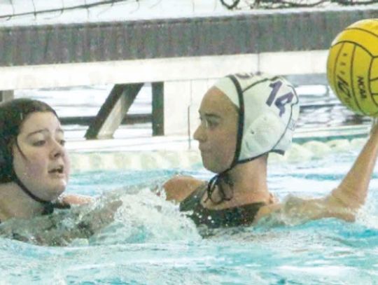 Greyhound, Charger girls water polo teams cruise in first round of playoffs