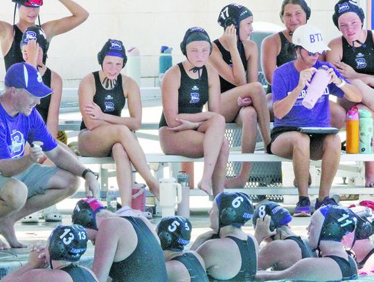 Greyhound water polo squad in action
