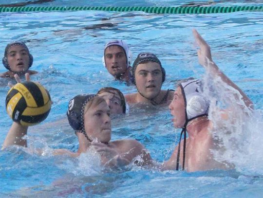 Greyhound water polo teams open district play